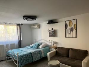 Appartements Ravissante suite avec jacuzzi : photos des chambres