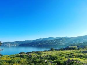 Perdikas Nest, family friendly house by the sea