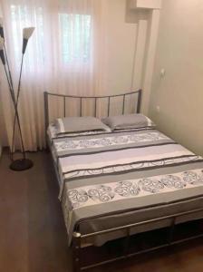 The house in nature SKG