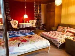 Apartment mit toller Aussicht - 卡尔夫