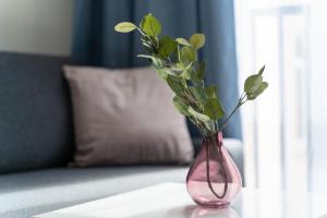 Kamienica Centrum Apartament nr 15