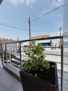 Georges residence