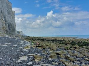 Maisons de vacances Alice a Ault : photos des chambres