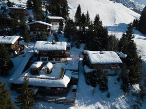 apartment Gipfelstürmer directly on the ski slope