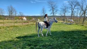 Quinta da Carreirinha