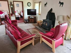 Ddol Cottage Traditional Coastal cottage nr Llangrannog & New Quay with Donkeys