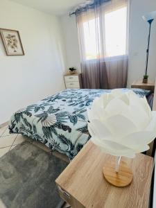 Appartements T3 Spacieux lumineux, climatise : photos des chambres