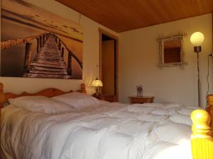 Chalets Chalet Henri classe 3 etoiles aux Portes du Soleil : photos des chambres