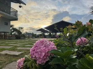 Chacara da Sorte - Pacoti