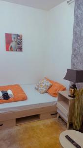 Appartements Home sweet home in Pau : photos des chambres