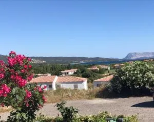 Frank's Home - Tanaunella