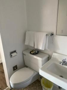Innovative Studio Apartment