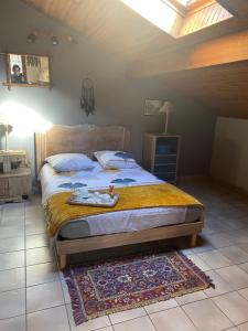 Appartements Stemicar dans les Landes : photos des chambres