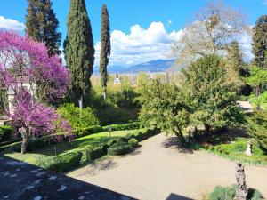 Villa Nardi - Residenza DEpoca