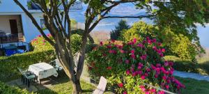 Appartamento Belvedere 4