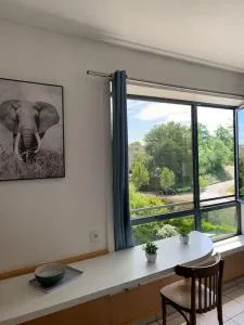 Studio Bourran + parking - 奥内莱沙托