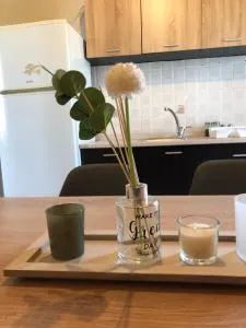 Aristotelis apartments - Platamón