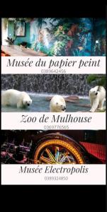 Appartements Sweet Home : photos des chambres