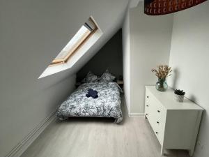 Appartements Appartement T3 renove 60m2 proche centre Colmar : photos des chambres