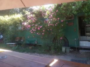 Campings Hebergements bohemes pleine nature : photos des chambres