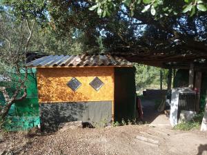 Campings Hebergements bohemes pleine nature : photos des chambres