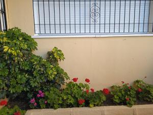 FUENGIROLA PLAYA y PISCINA PERLA 2 ESTUDIO