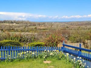 Ddol Cottage Traditional Coastal cottage nr Llangrannog & New Quay with Donkeys