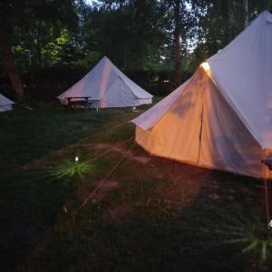 Nalu Surf Camp