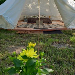 Nalu Surf Camp