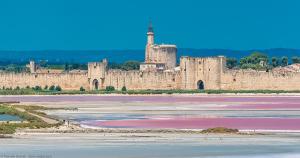 Appartements Vacances en Camargue proche de la mer climatise : photos des chambres