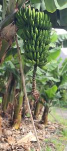 CASA RURAL ANTIGUA ESCUELA I