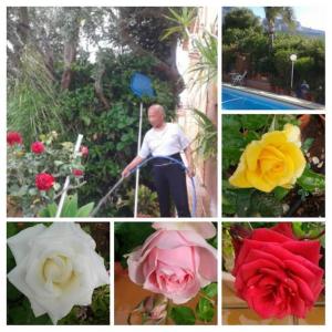 Villa Alex costablanca Denia