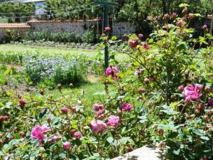 Gîte de charme en Auvergne, cour fermée, jardins privés, BBQ, babyfoot, proche St Jacques de Compostelle - FR-1-582-232