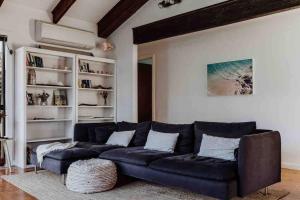 Beach Haven Scamander