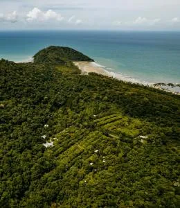 Cape Trib Farm - Cape Tribulation