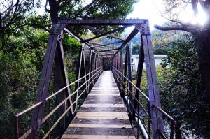 無料ドッグラン attic private villa 伊豆大川