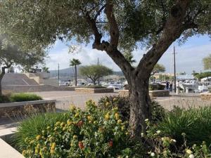 Mazet rénové à Ste-Maxime, 3 pièces, 6 couchages, centre-ville, plage à 500m - FR-1-226-517