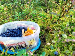 5 person holiday home in GAMLEBY-By Traum