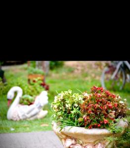 Apartmani LANA Podgorica