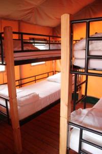 Campings Camping Terre Ferme : photos des chambres