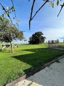 Sejours a la campagne Gite Le Domaine Des Faluns : photos des chambres