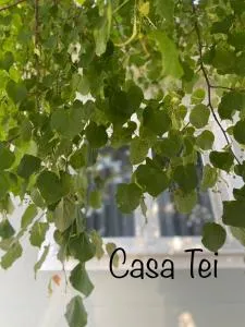 Casa Tei - Turnişor