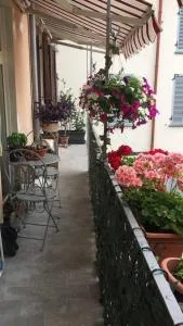 Appartamento Olga nel centro storico di Intra - Intra