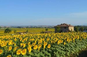 Вила Podere Molinaccio Паникале Италия