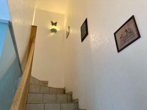 Appartements Le papillon,Logement cosy en Alsace : photos des chambres