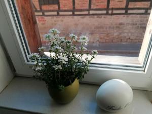 FeWo im Lehm-Fachwerkhaus Erfurt mit 3 einzelnen Schlafzimmern je mit TV