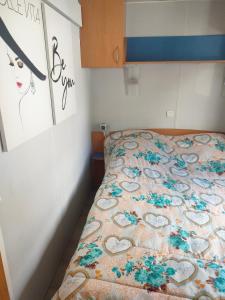 Campings Mobil home climatise au Domaine Lalande a Mimizan : photos des chambres