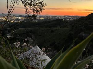 Glamping Finca el Olivo