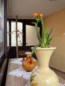 Apartment above Opatija, N’Amor