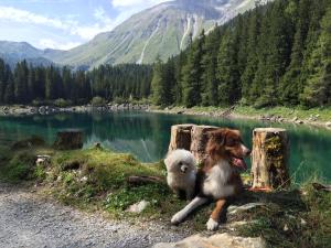 Apartment Villa Sonnegg